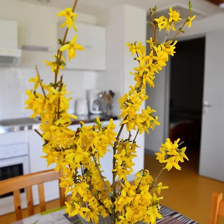 Alpstuga Bel'horizon *